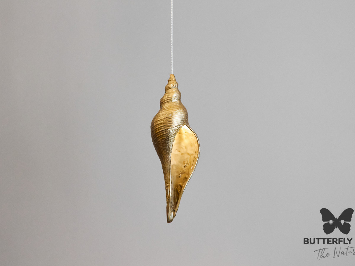 Люстра Shell 107 Brass Люстра Shell 107 Brass