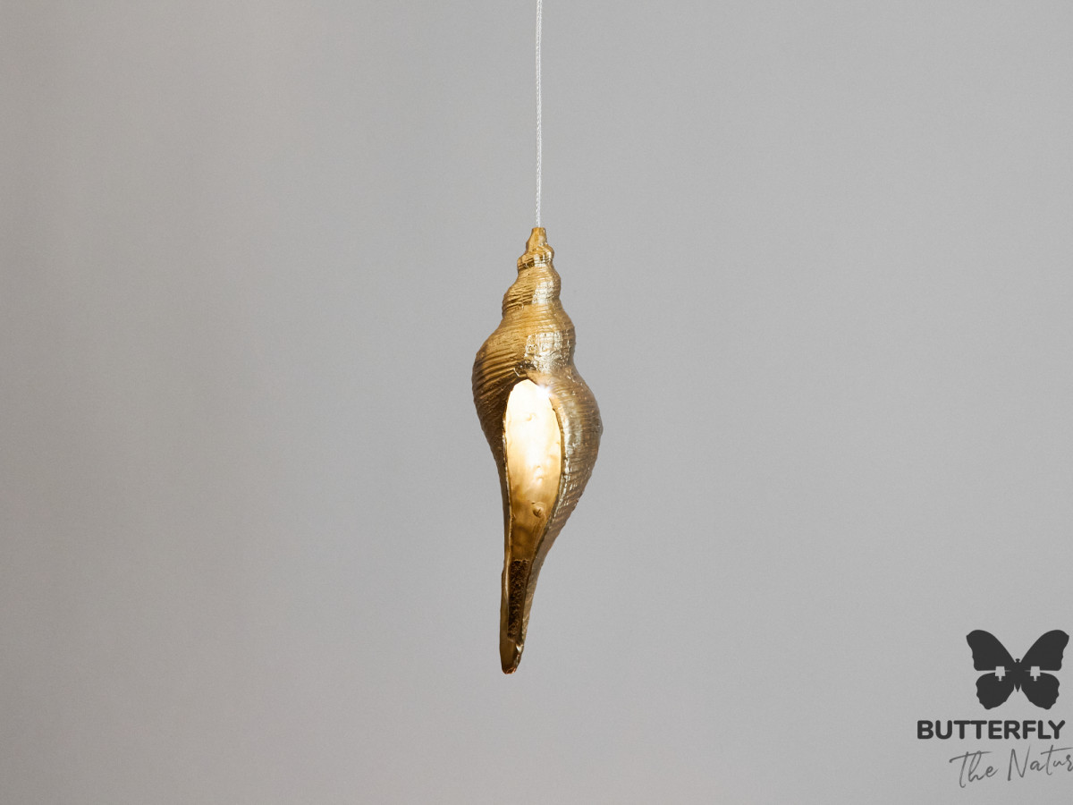 Люстра Shell 107 Brass Люстра Shell 107 Brass